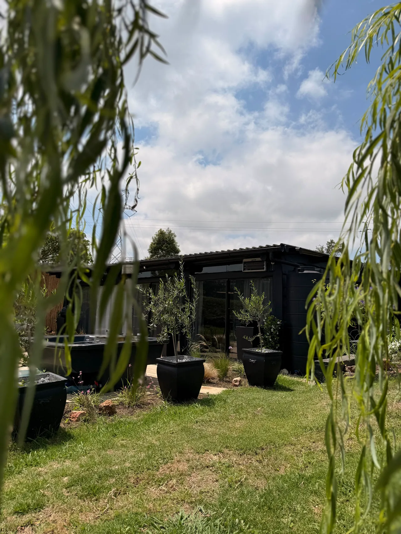 Garden suite — Garden suite seen through weeping willow branches
