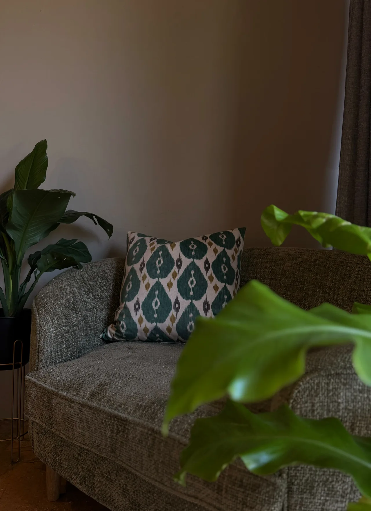 Garden suite — Armchair with a patterned cushion beside indoor plants in the suite