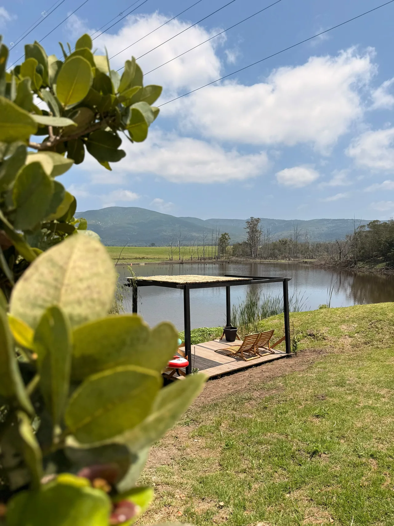 Garden suite — Timber pergola and deck beside the lake with loungers