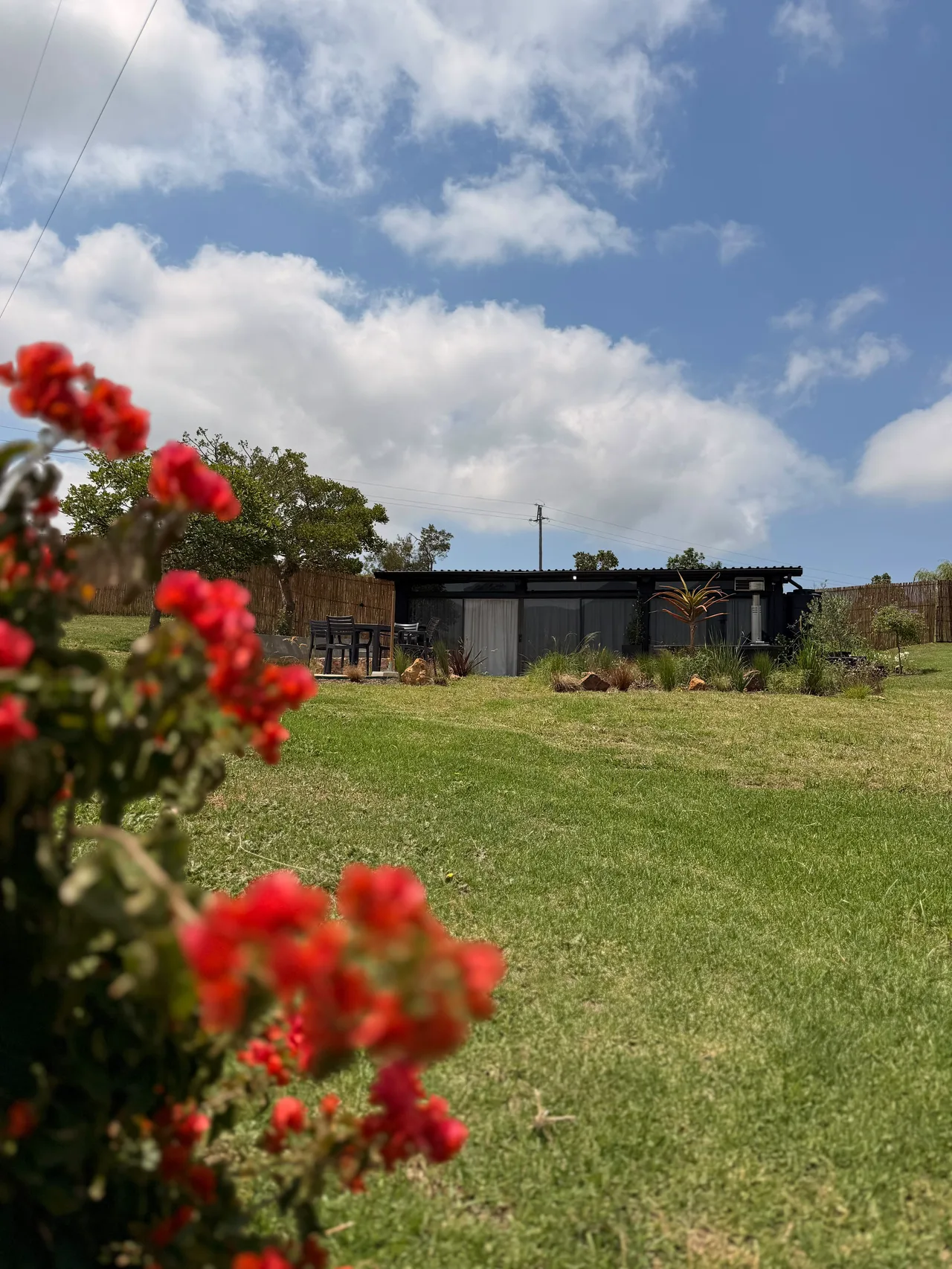 Garden suite — Garden suite behind flowering bougainvillea and lawn