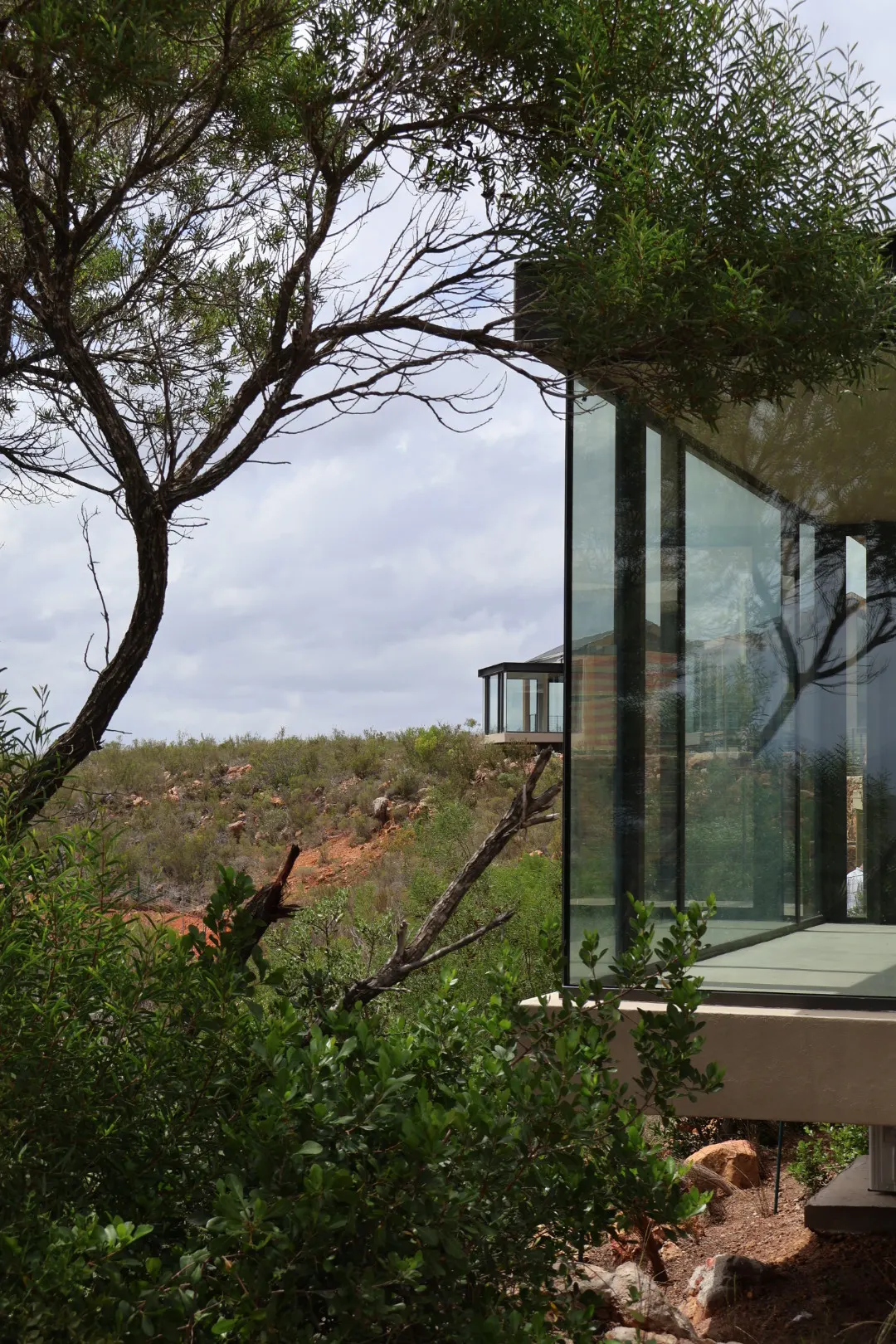 Lodge suites set into the hillside of the reserve